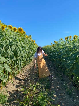 「ひまわり畑」｜「アイテム（サンダル）」を使った、kana☺︎さん（レディース・160cm）の夏コーディネート