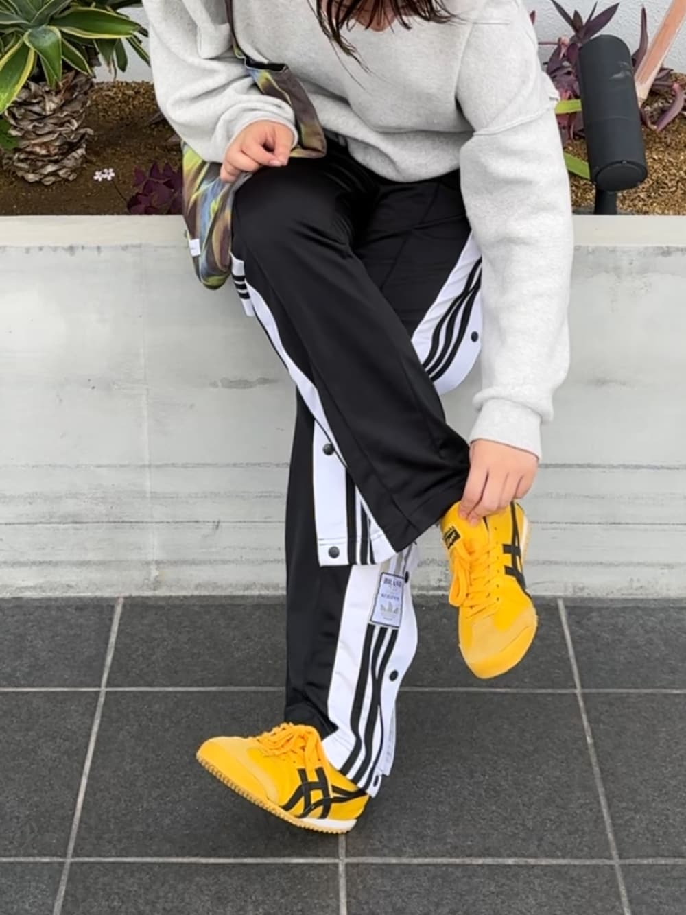 1729310209.jpg