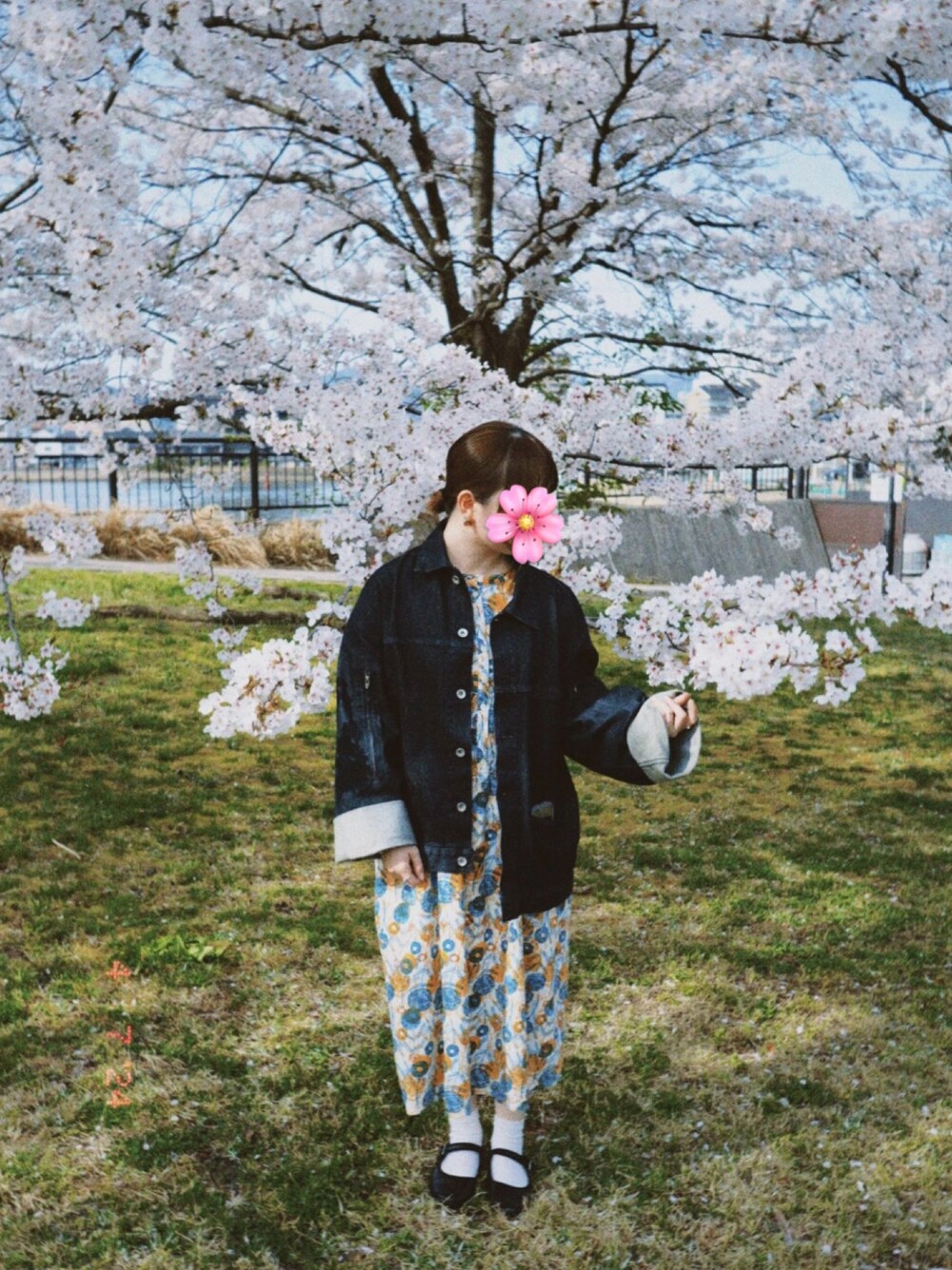 「春服コーデ、おでかけコーデ、お花見コーデ、低身長コーデ、デニムジャケット」｜「in seeの倉敷のデニムストリートで買ったやつ（デニムジャケット、ブルー系）」を使った、かえ子さん（レディース・148cm）の春コーディネートの1枚目の写真