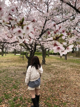コカリさんのコーディネート