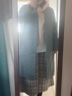 「アイテム（ノーカラーコート）」を使った、わんちゃんさん（レディース・153cm）の冬コーディネート