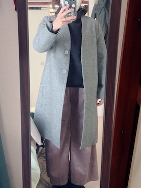 「アイテム（ノーカラーコート）」を使った、わんちゃんさん（レディース・153cm）の冬コーディネート