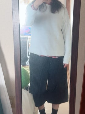 「アイテム（ニット/セーター、シルバー系）」を使った、わんちゃんさん（レディース・153cm）の冬コーディネート