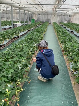 ぬまるさんのコーディネート