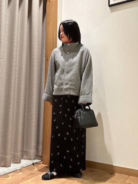 「アイテム（スカート）」を使った、ア デイ イン ザ　ライフさん（レディース・156cm）の冬コーディネート