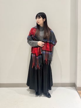 「チェック柄」｜ア デイ イン ザ　ライフさん（レディース・152cm）の冬コーディネート