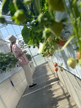 cocoさん（レディース・159cm）の夏コーディネート