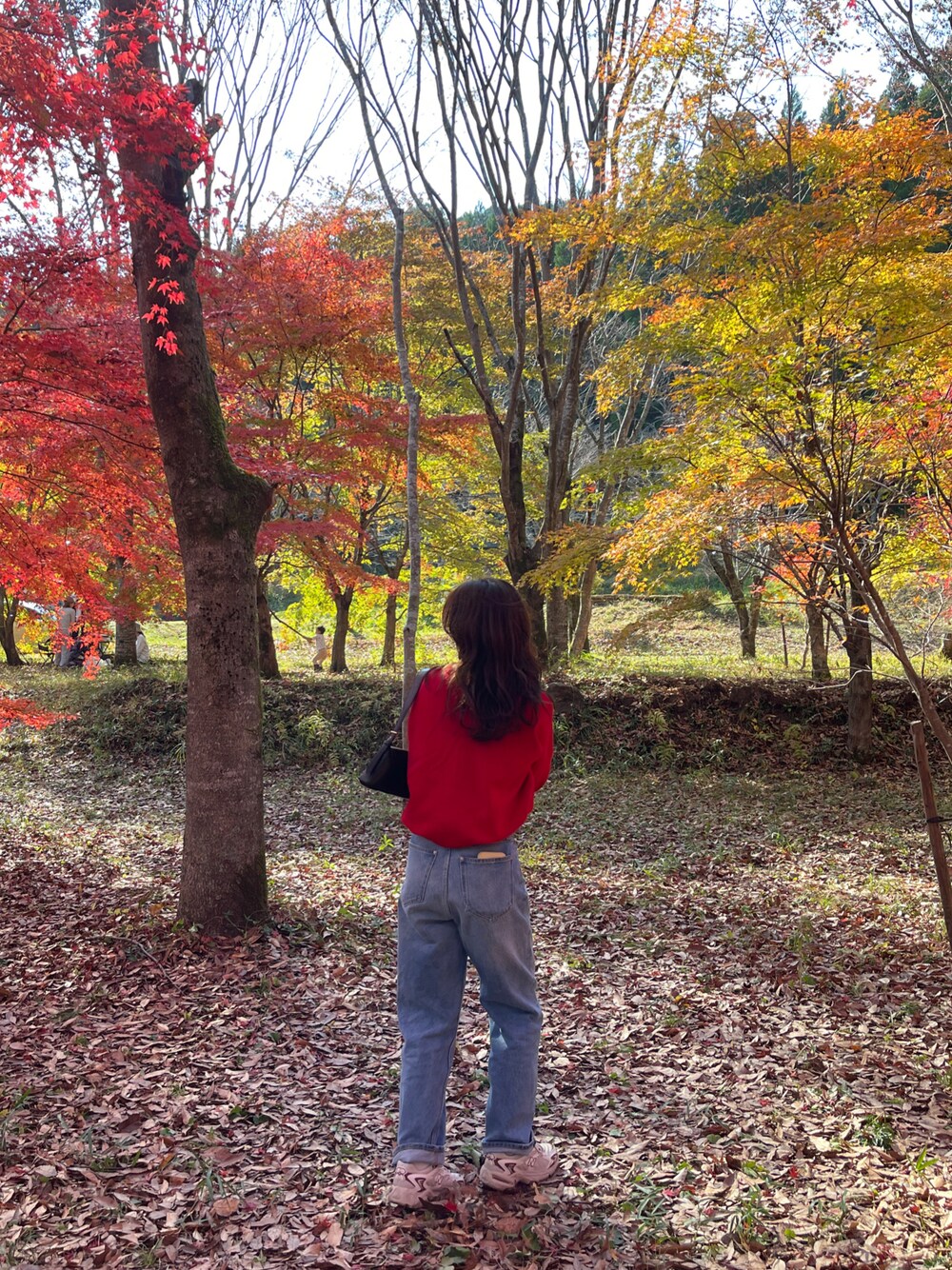 「秋服、パンツスタイル、秋、おでかけコーデ、大人かわいい、赤ニット、大人可愛い、カラーコーデ、差し色」｜「BEAUTY&YOUTH UNITED ARROWSのアイテム（デニムパンツ、グレー系）」を使った、mさん（レディース・158cm）の秋コーディネートの1枚目の写真