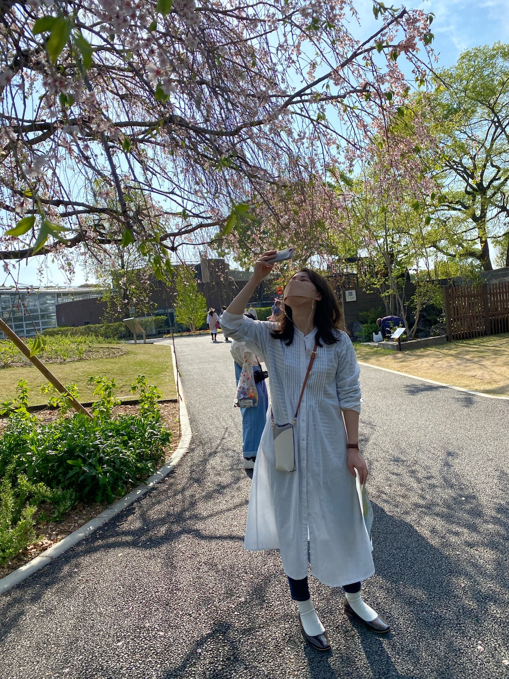 「春服、お花見コーデ、ワンピース、シャツワンピース、白ソックス、デニム、パンプス、パンプス×靴下、白ワンピース、春服みてみて」｜「UNIQLOのハイライズスキニーアンクルジーンズ（ビューティコンプレッション・丈標準68cm）（デニムパンツ、ブルー系）」を使った、suzuさん（レディース・165cm）の春コーディネートの1枚目の写真