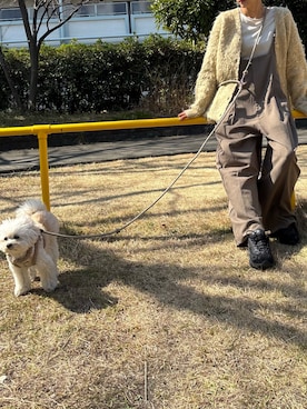 「HANNE（アン）のアイテム」を使った、imさん（レディース・164cm）の冬コーディネート