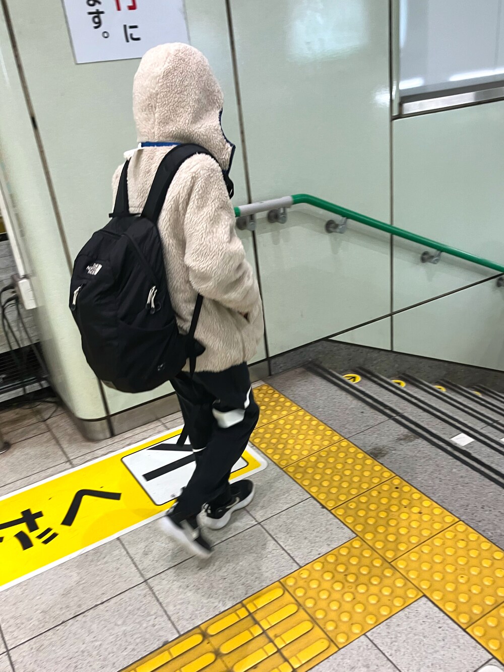 ノースフェイスキッズリュックTHE NORTH FACE 青色 リュック THE NORTH FACE 青色リュック 鳥刺繍 キッズ ブルー - メルカリ