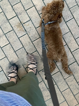 リトルミイさん（レディース・163cm）の夏コーディネート