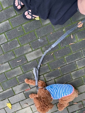 リトルミイさん（レディース・163cm）の夏コーディネート