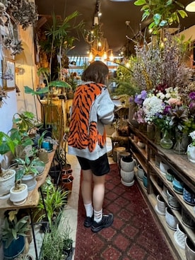 「SALOMON（サロモン）のSALOMON/サロモン/XT-6 L41086600（スニーカー）」を使った、なしさん（レディース・170cm）の春コーディネート