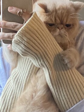 nanakoさんのコーディネート