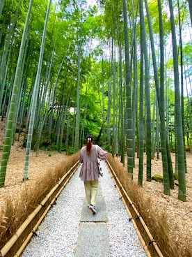 hiraさんのコーディネート