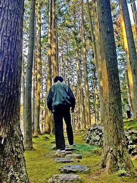 Nanashiさん（メンズ・177cm）の冬コーディネート