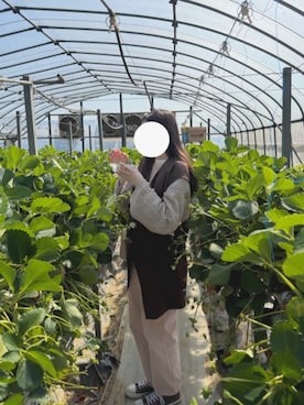 「rps（アールピーエス）のアイテム」を使った、ayaharuさん（レディース・158cm）の春コーディネート