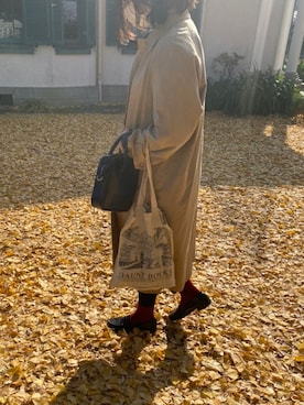 「JOURNAL STANDARD relume（ジャーナルスタンダード　レリューム）のアイテム（ステンカラーコート）」を使った、megさん（レディース・160cm）の冬コーディネート