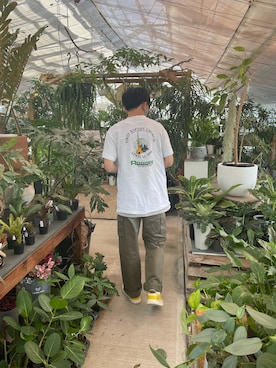 zeroさんのコーディネート