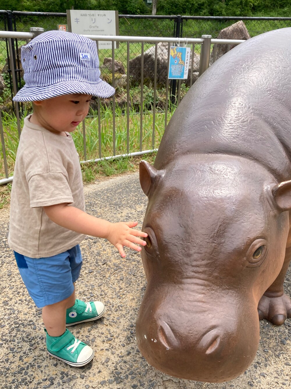 「休日スタイル、アツいコーデ全部見せ、公園コーデ、男の子コーデ、Tシャツコーデ、動物園スタイル、LEE、converse、しまむら」｜「Championのアイテム（Tシャツ/カットソー、ベージュ系）」を使った、asawearrrrさん（キッズ・100cm）の夏コーディネートの1枚目の写真
