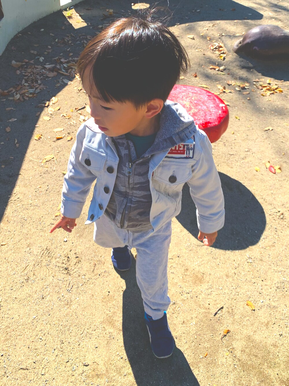 「秋のコーデ、男の子、公園、お散歩コーデ、キッズファッション、ジージャン」｜「POLO RALPH LAURENのアイテム（パーカー、グレー系）」を使った、keyさん（キッズ・135cm）の秋コーディネートの1枚目の写真