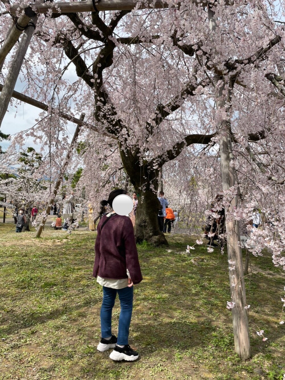 「ラクチンコーデ、春、ゆるコーデ、おしゃれさんと繋がりたい、カラー×コーデ、パンツコーデ、低身長女子、スニーカー、お花見、はるコーデ、KBF、SENSEOFPLACE、URBAN RESEARCH」｜「KBFのアイテム（カーディガン/ボレロ、その他）」を使った、みんごさん（レディース・150cm）の春コーディネートの1枚目の写真