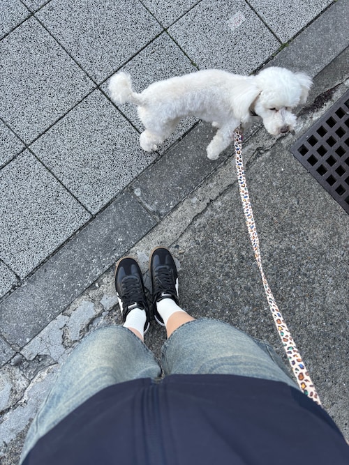 スニーカー【MOSCHINO】関税込み送料無料 ジャージー素材 レザー moschino-white-black-logo-