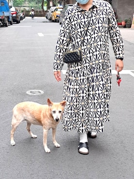 「POLO（ポロ）のアイテム（シューズ）」を使った、Shiuan Yenさん（レディース・166cm）の春コーディネート