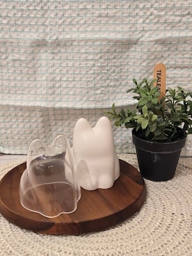 「212 KITCHEN STORE（トゥワントゥキッチンストア）の◆コネコカップ ビオホワイト ＜＋ｄ プラスディ＞（キッチンツール、その他）」を使った、fさん（レディース）の夏コーディネート