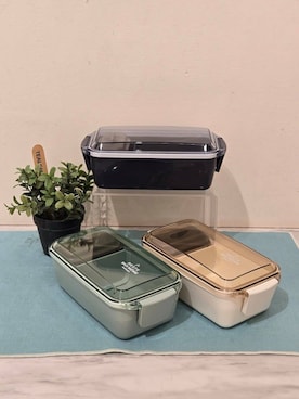 「アイテム（お弁当箱）」を使った、fさん（レディース・100cm）の春コーディネート