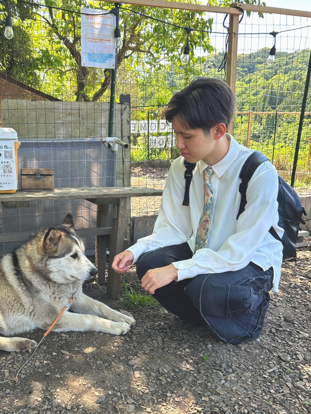 「白シャツ、ネクタイ、春コーデ、初夏コーデ」｜「HAREのカットオフデザインデニムパンツ(HARE)（デニムパンツ、ブラック系）」を使った、Mercyさん（メンズ・174cm）の春コーディネートの1枚目の写真