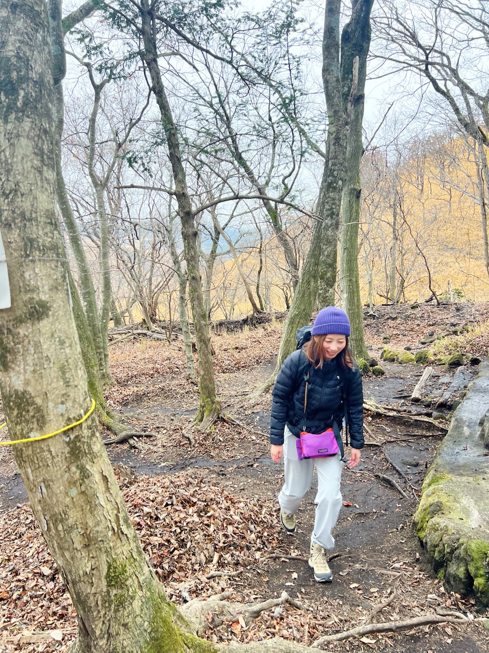 THE NORTH FACE（ザノースフェイス）の「ザ・ノースフェイス