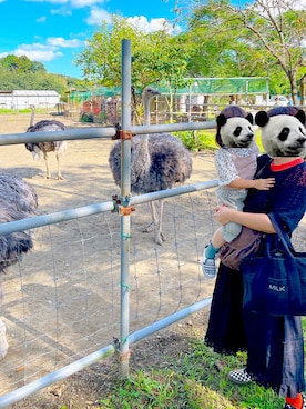 mi_a_さんのコーディネート