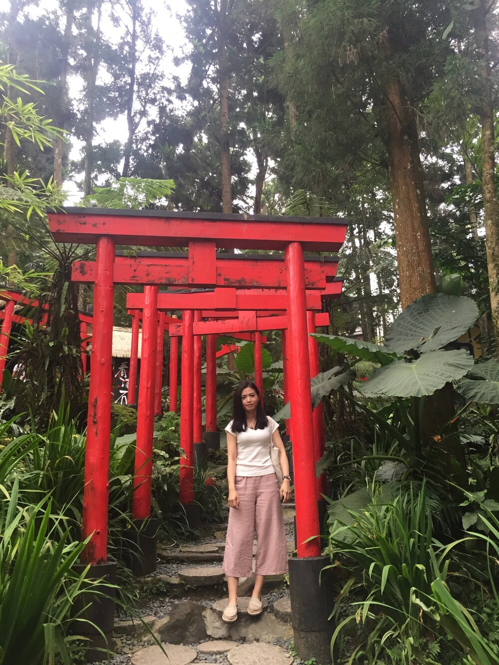 ホワイト系のTシャツ/カットソー、ベージュ系のスリッポン、ピンク系のチノパンツを着用したレディースの夏コーディネートの1枚目の写真