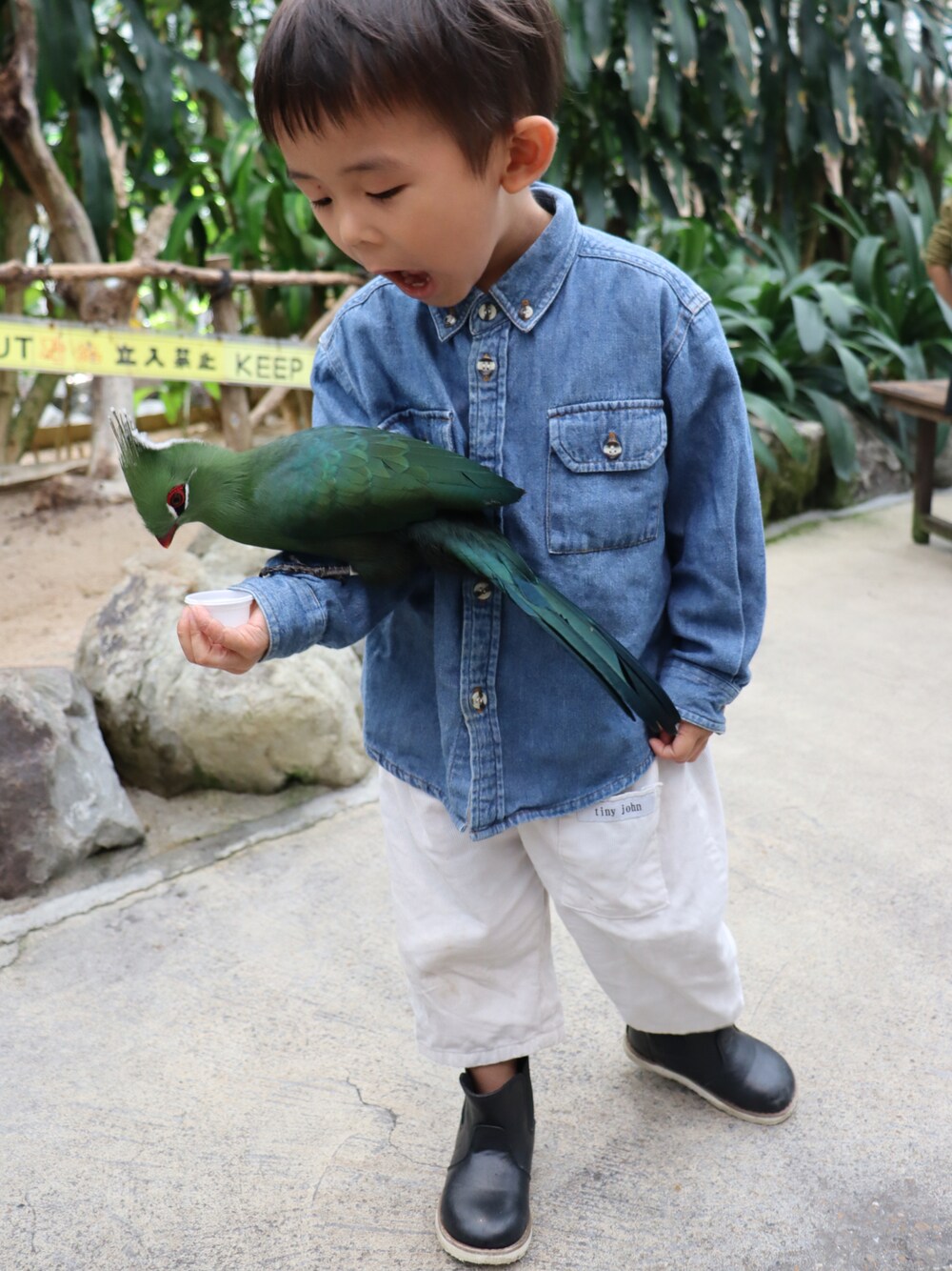 「シンプルスタイル、秋のコーデ、キッズコーデ、キッズファッション、男の子コーデ、シャツスタイル、3歳男の子」｜「Handmadeのアイテム（パンツ、ホワイト系）」を使った、tinytinyjohnさん（キッズ・90cm）の秋コーディネートの1枚目の写真