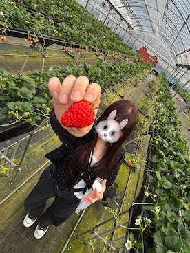 「GU（ジーユー）のアイテム（アンダーウェア）」を使った、xaeさん（レディース・156cm）の春コーディネート