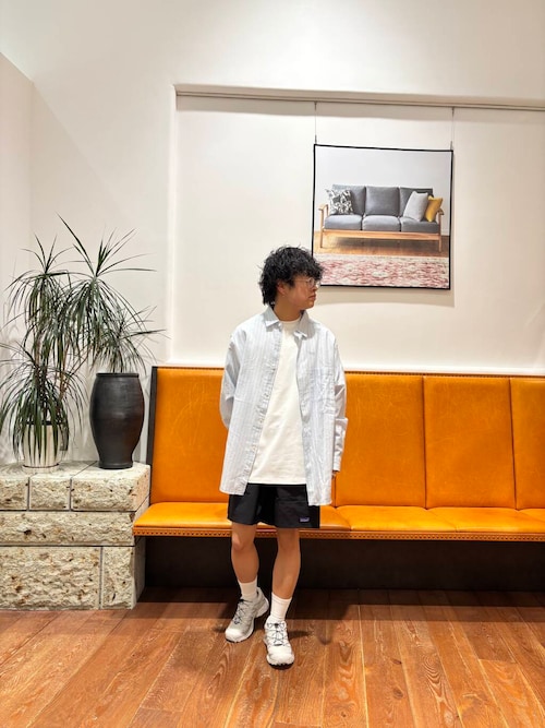 シアーボイルストライプロングスリーブシャツ