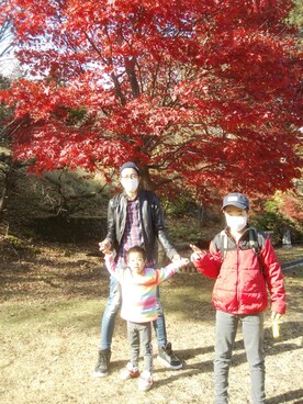 「ヒラキ（ヒラキ）のアイテム（スニーカー）」を使った、デニム大好きおじさん夏は白Ｔさん（メンズ・180cm）の秋コーディネート