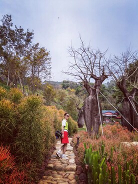 「アイテム（カーゴパンツ、レッド系）」を使った、fatfat02さん（レディース・163cm）の春コーディネート