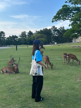 maistyle13さんのコーディネート