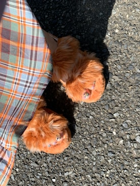 mintshiroiさんのコーディネート