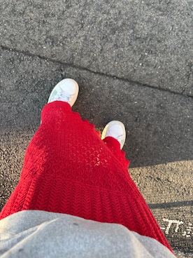 「アイテム（スカート）」を使った、🦐えび🍤さん（レディース・165cm）の秋コーディネート