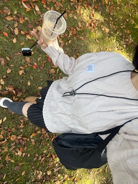 「Vini（ヴィニ）のアイテム（ニット/セーター）」を使った、りんかさん（レディース・156cm）の秋コーディネート