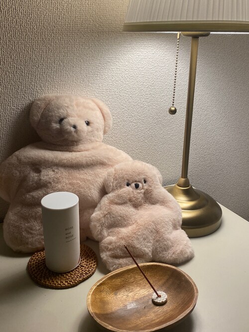 セール】テディウォーマー Mサイズ エコカイロ くま（インテリア雑貨