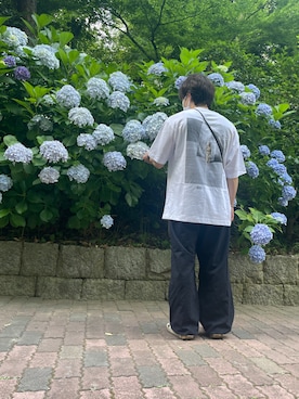 へいさんの（COMOLI | コモリ）を使ったコーディネート