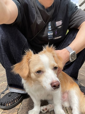 へいさん（メンズ・164cm）の秋コーディネート