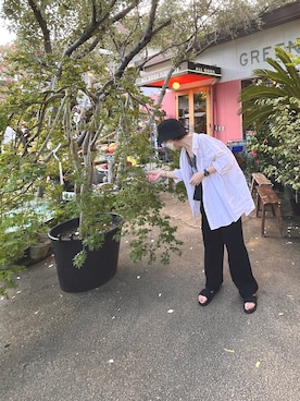 Naoさんのコーディネート