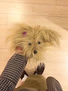 「アイテム（キーホルダー）」を使った、maumauさん（レディース・160cm・20代）の秋コーディネート