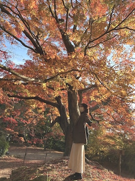 Kotomiさんのコーディネート